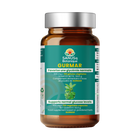 Gurmar Blad (Gymnema Sylvestre) capsules - 500 mg | SANUSq Health