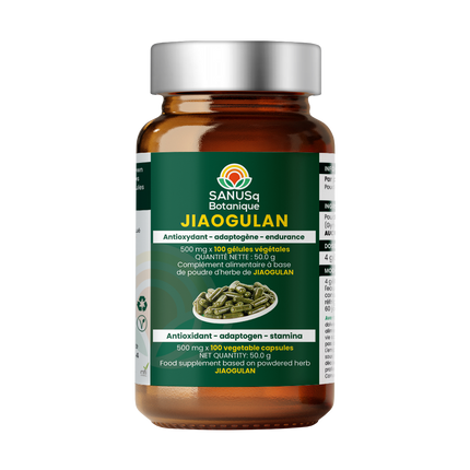 Jiaogulan herb powdered leaf capsules 500mg x 100